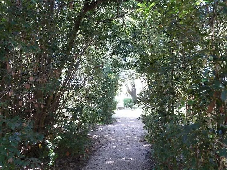 Mas De La Forge-1